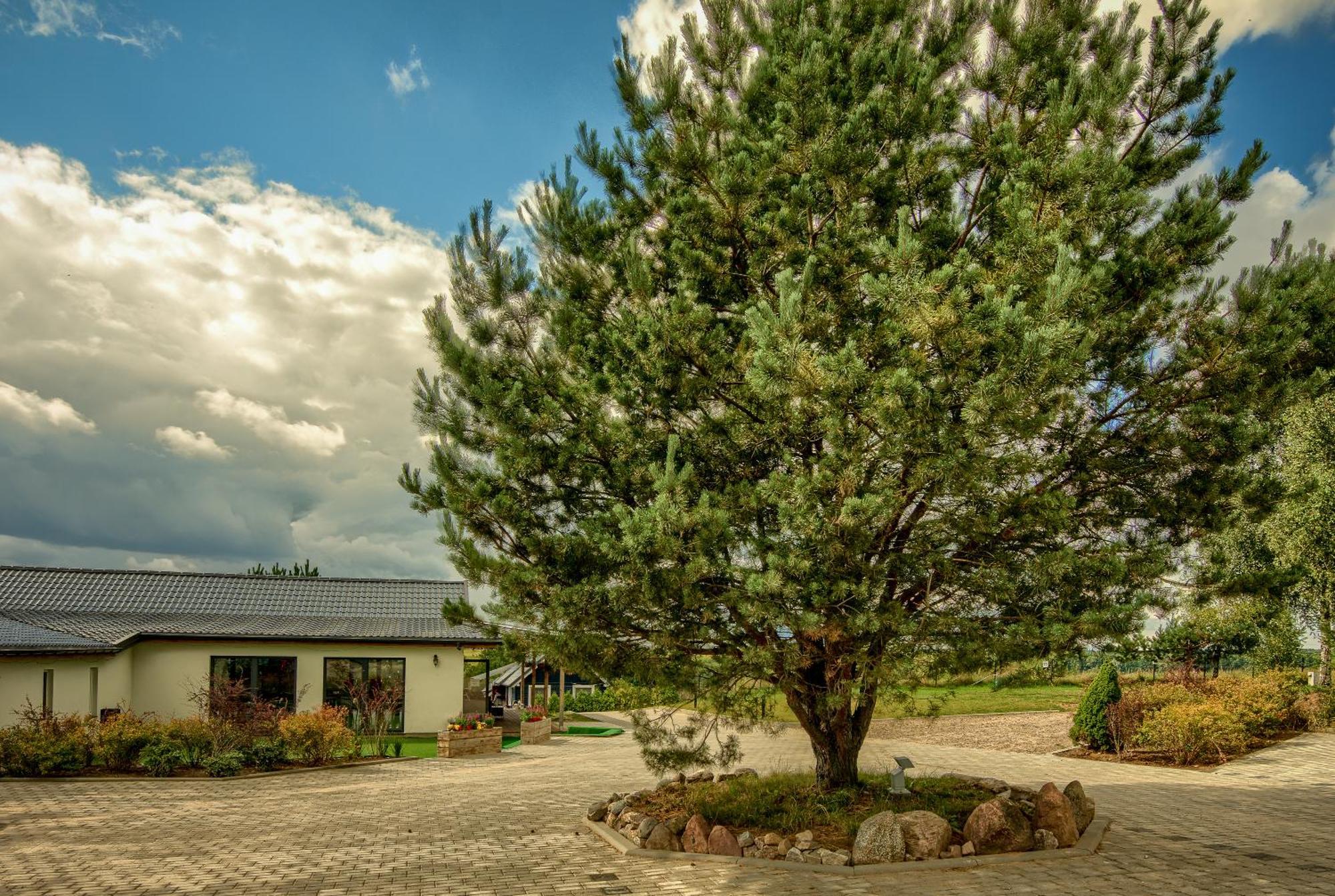 Pajda Mazur - Osrodek Wypoczynkowy Hotel Stare Jablonki Exterior photo